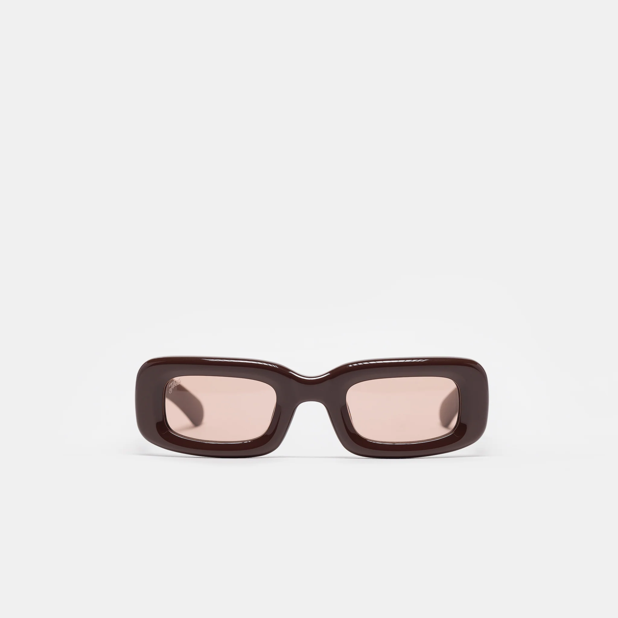 Verve Inflated Sunglasses in Brown/Brown
